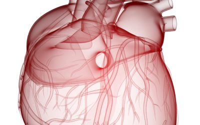 Self-degradable heart implants