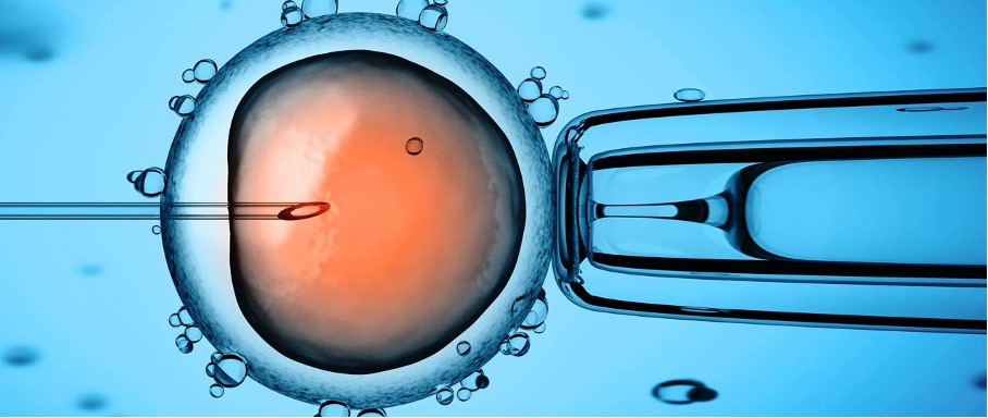 New impulses in fertility therapy